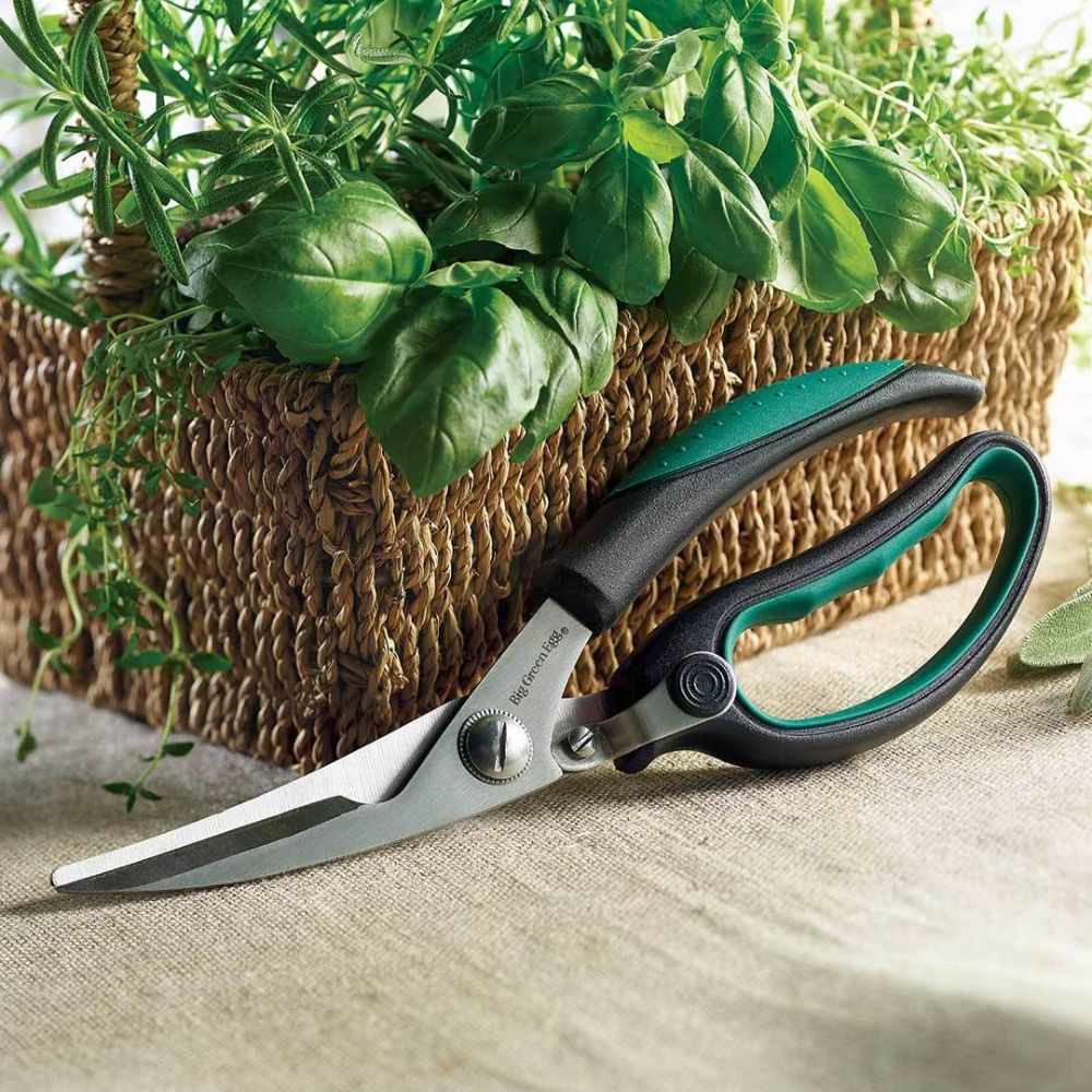 Big Green Egg 120106 Kitchen Shears - Image 2