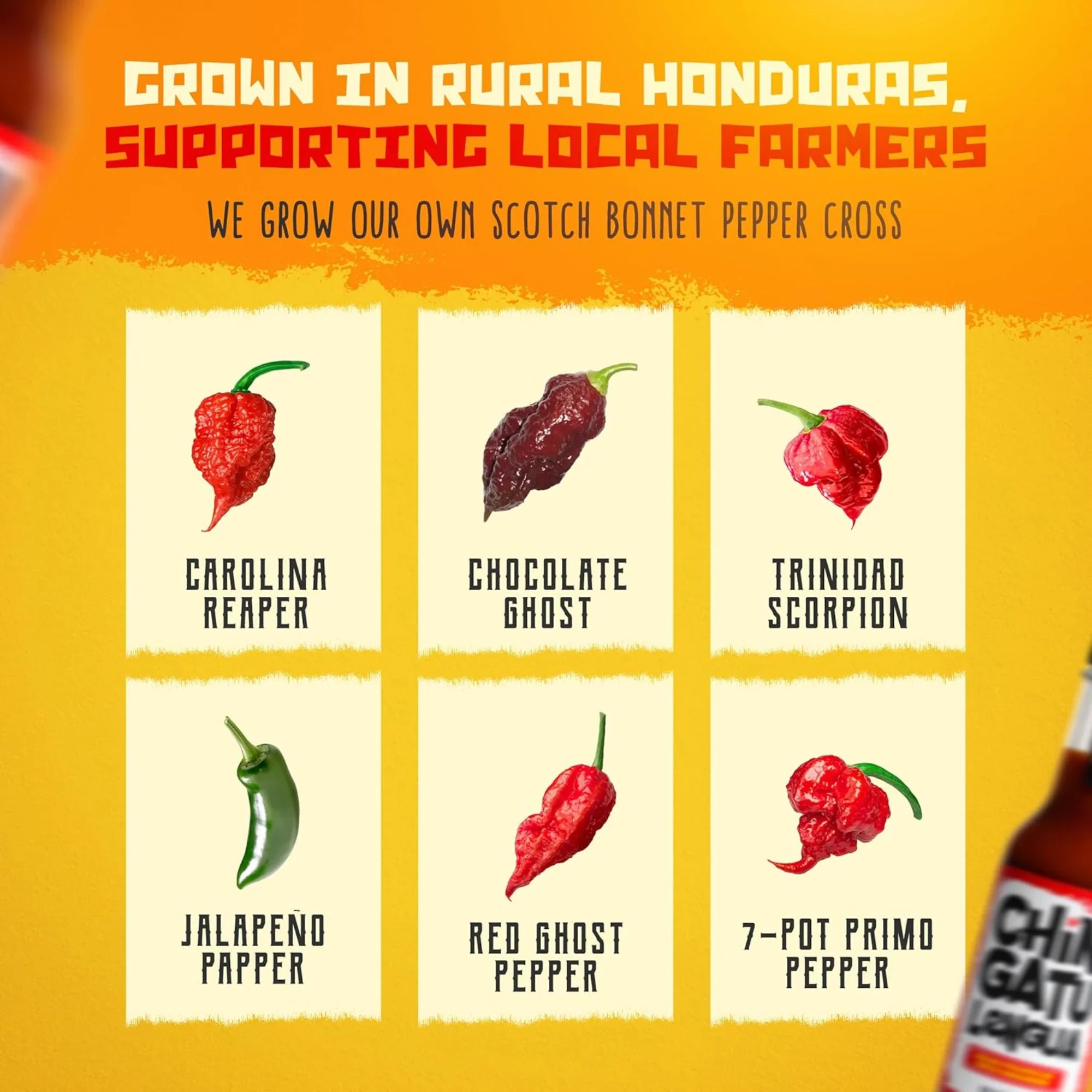 Chile Lengua de Fuego Hot Ones Triple Threat Hot Sauce Bundle - Image 5