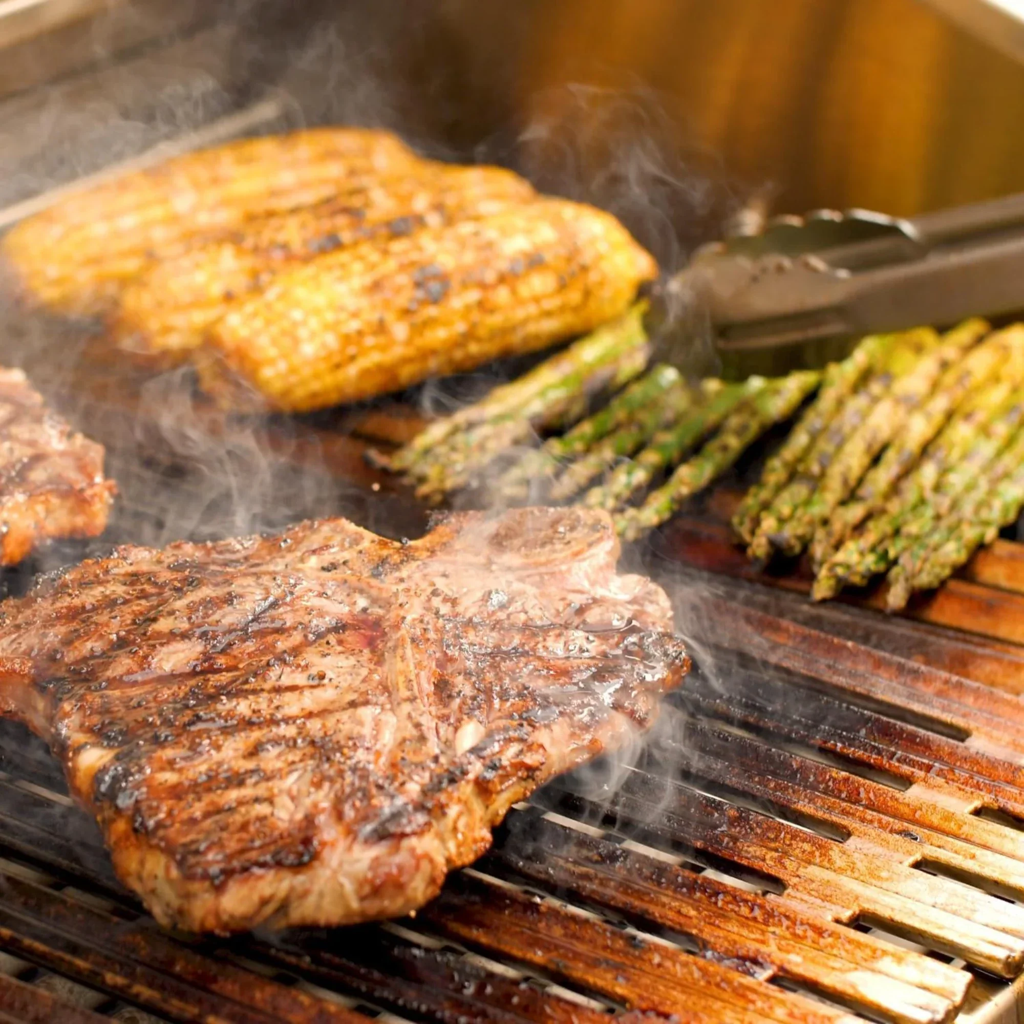 DCS Series 9 48-Inch Built-In Gas Grill w/ Rotisserie - Image 15