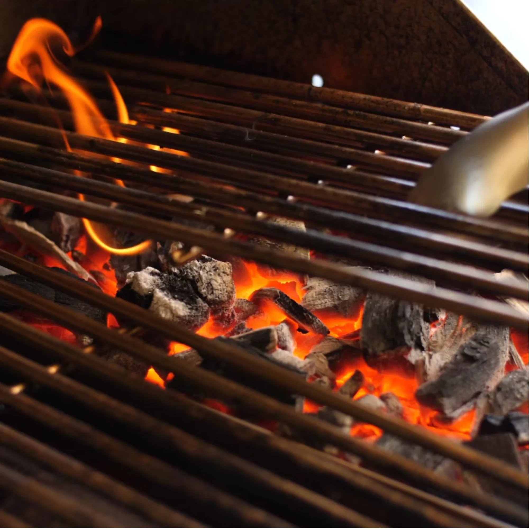 Lion Premium Grills Charcoal Tray - Image 2