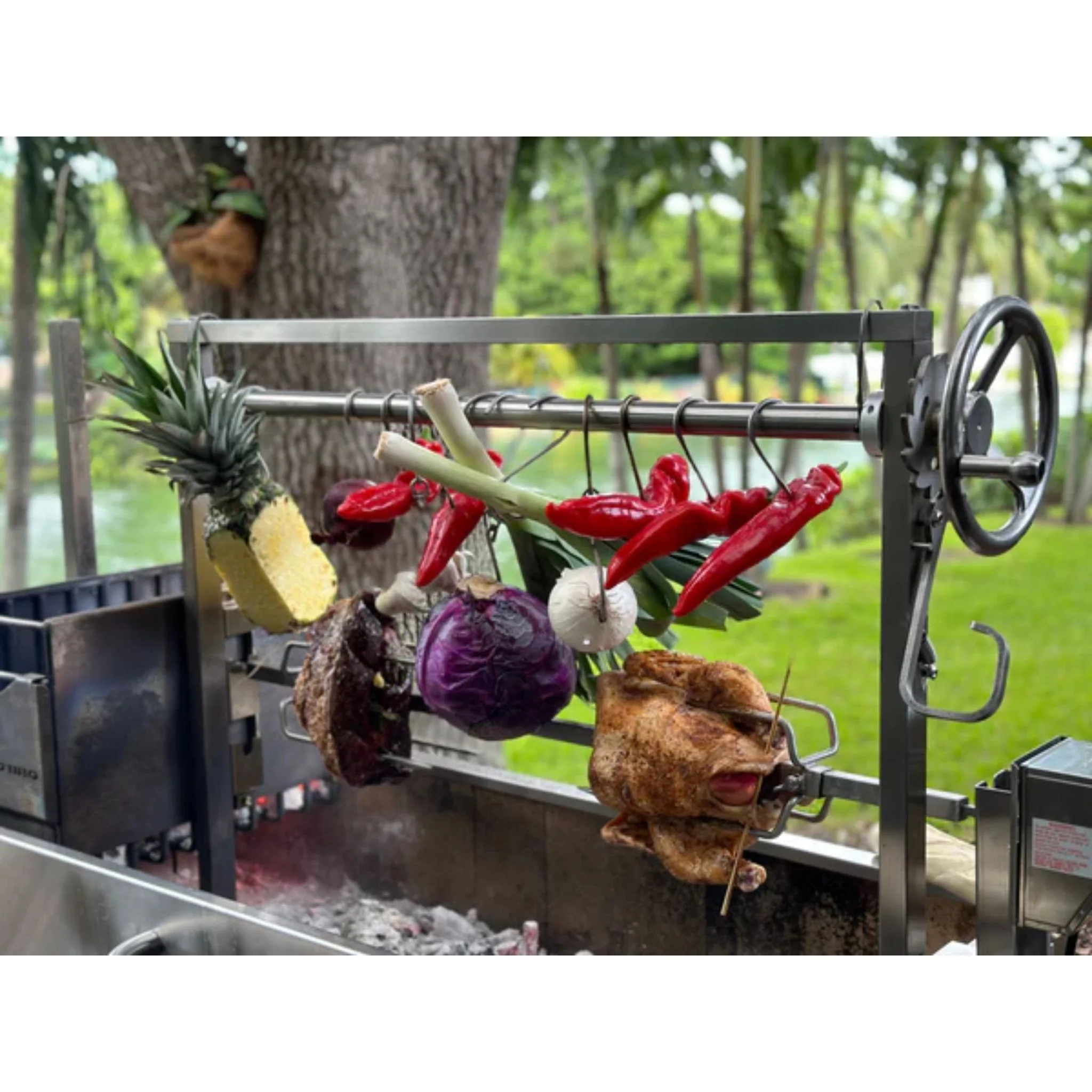 Tagwood BBQ50SS BBQ Stainless Steel Rotisserie Kit (ACCESSORY ONLY, GRILL NOT INCLUDED) - Image 5