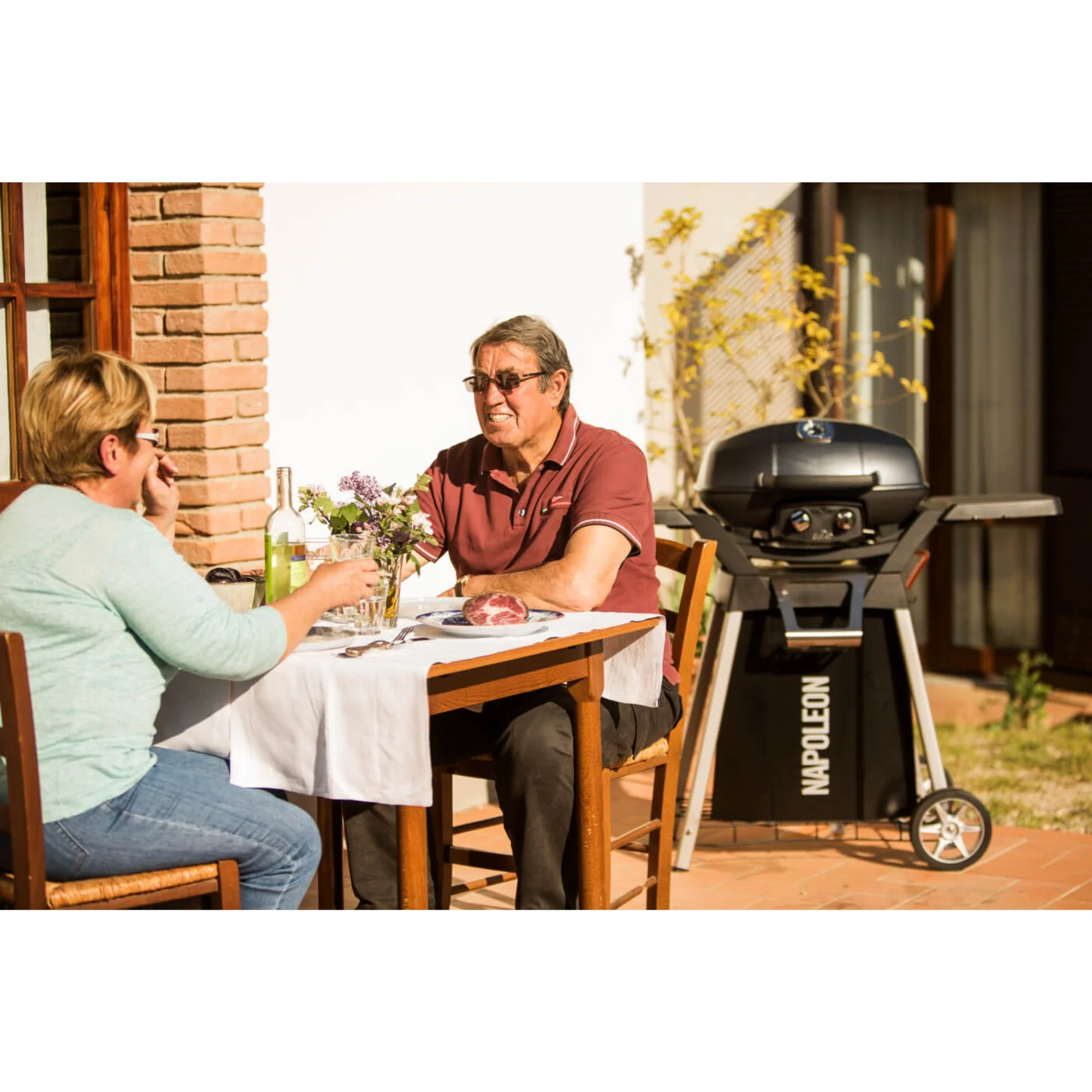 Napoleon PRO285-BK TravelQ Pro285 - Image 9
